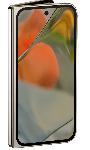 smartphone